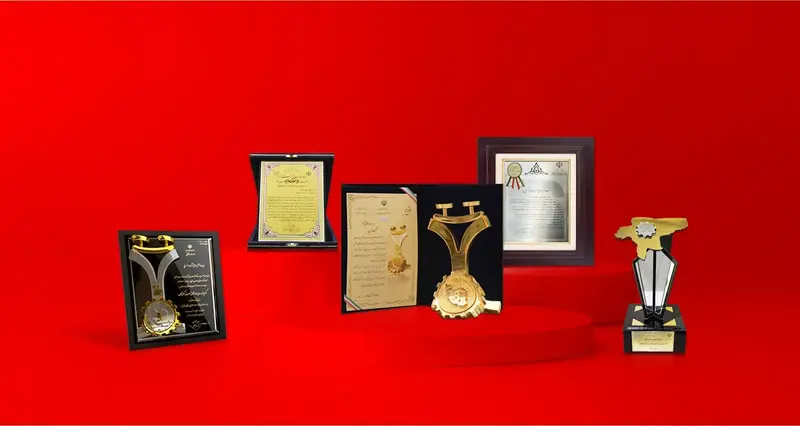 Дипломы и награды